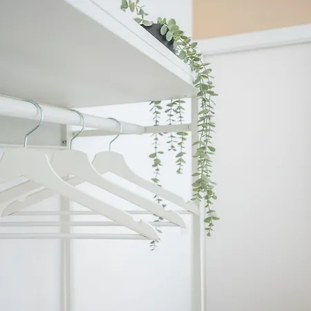 Anna De Miracoli By Pleiades